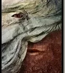 the veil by maciejzielinski thumb 134x150 - أنثى المدى