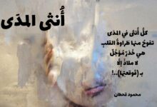 أنثى المدى أنثى المدى