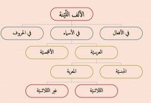 أخطاء لغوية شائعة الألف اللينة scaled 220x150 - أخطاء المفردات عند الكتاب والصحفيين والإذاعيين