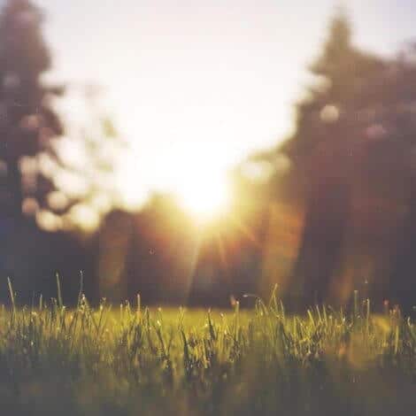 PAR cinq parcs et jardins secrets a paris 1 1 1024x1024 min scaled - عشر عادات لتبدأ بها يومك... الجزء الأول