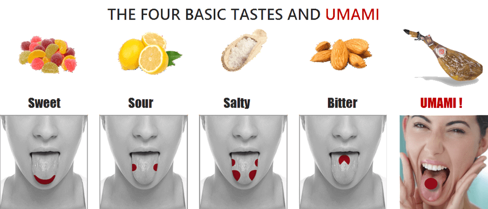 أومامي الطعم اللذيذ Umami