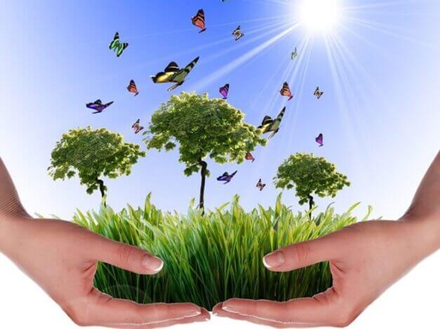 تقييم الأثر البيئي