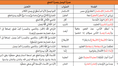 تدريبات لغوية: ألف الوصل وهمزة القطع