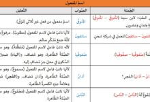 2020 04 28 23 32 08 min 220x150 - تدريبات لغوية: الهمزة آخر الكلمة