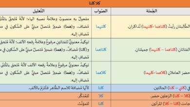 تدريبات لغوية: كلا وكلتا