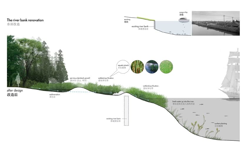 logon qingpu wetland river bank renovation min - نظرية بيوفيليا THE THEORY OF BIOPHILIA
