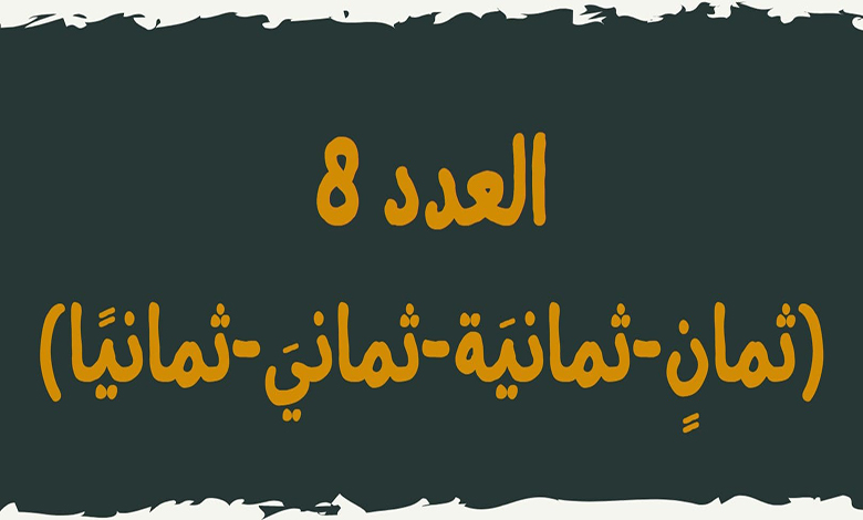 العدد 8 العدد 8