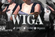 كيف يعيد الستريمر "WIGA" تشكيل تجربة البث المباشر للألعاب التنافسية؟ صناعة المحتوى الرقمي والرياضات الإلكترونية: كيف يعيد الستريمر "WIGA" تشكيل تجربة البث المباشر للألعاب التنافسية؟